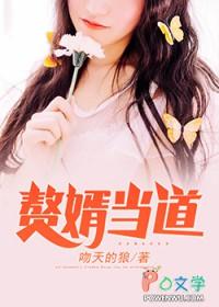 赘婿当道免费阅读